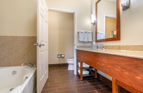 Galt Hotel | Comfort Inn & Suites Galt - Lodi North