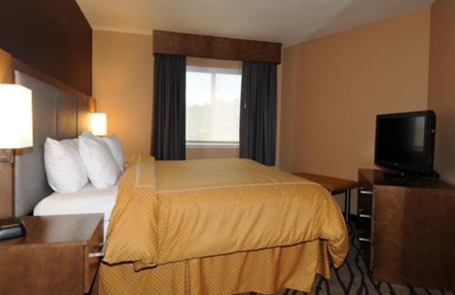 Great Falls Hotel | Comfort Inn & Suites Market - Airport