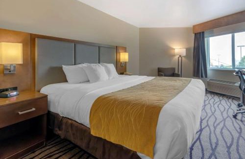 Great Falls Hotel | Comfort Inn & Suites Market - Airport