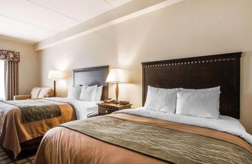 Gunter Afs Hotel | Comfort Inn & Suites Montgomery Eastchase