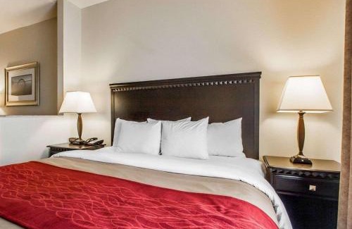 Gunter Afs Hotel | Comfort Inn & Suites Montgomery Eastchase