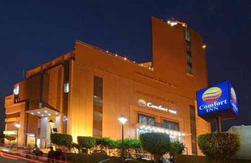 Bathinda Hotel | Comfort Inn Tulip Heights