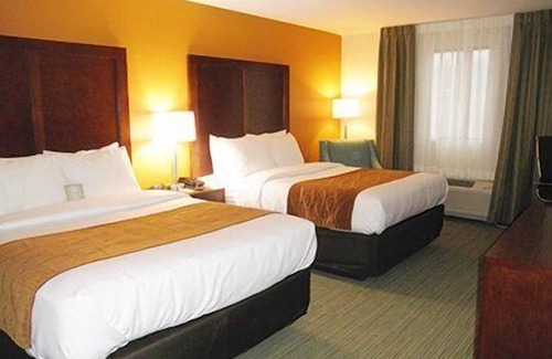 Ferdinand Hotel | Comfort Inn