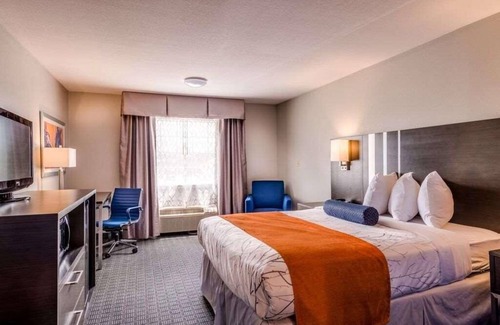 Lexington Hotel | Comfort Meets Affordability, Free Breakfast, Free Parking, Onsite Pool