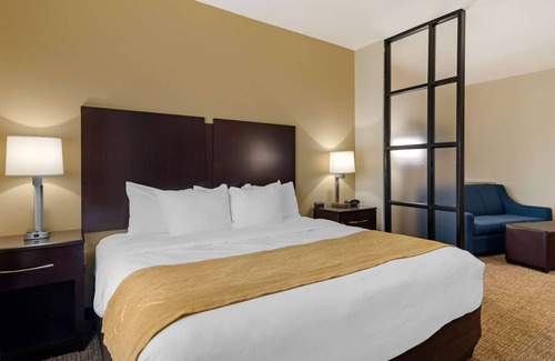 Byron Hotel | Comfort Suites Byron Warner Robins