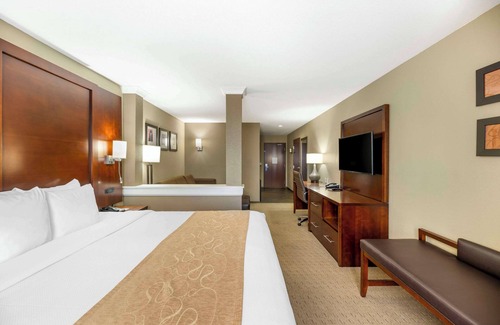 Carlsbad Hotel | Comfort Suites Carlsbad