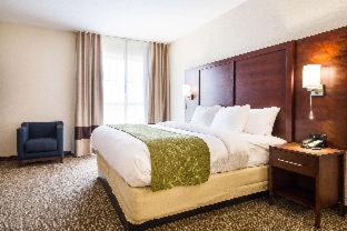 Powdersville Hotel | Comfort Suites Greenville South