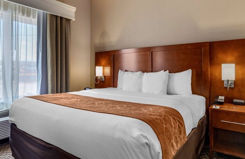 Bay Area Hotel | Comfort Suites Near Texas A&M University - Corpus Christi