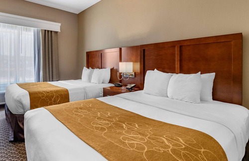 Bay Area Hotel | Comfort Suites Near Texas A&M University - Corpus Christi