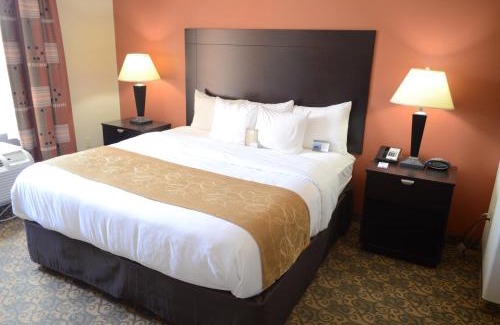 Westchase Hotel | Comfort Suites Westchase Houston Energy Corridor