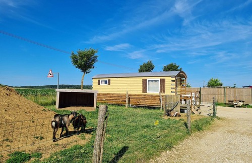 Burthecourt-aux-Chenes Cottage | Comfortable bohemian caravan at educational farm near Nancy