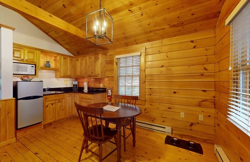 Northport Cabin | Comfortable dog-friendly cabin with fireplace & kitchenette near hiking trails