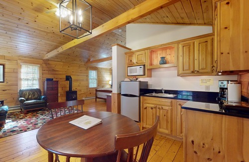 Northport Cabin | Comfortable dog-friendly cabin with fireplace & kitchenette near hiking trails