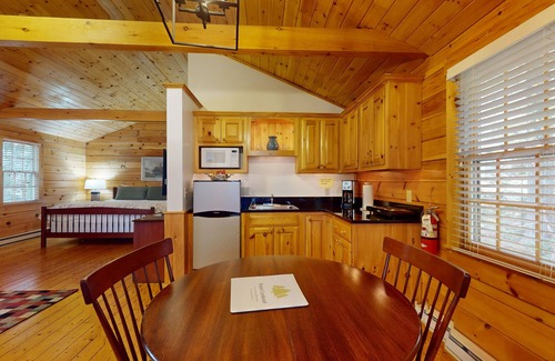 Northport Cabin | Comfortable dog-friendly cabin with fireplace & kitchenette near hiking trails