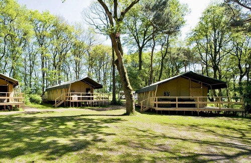 Beerze Cabin | Comfortable glamping accommodation!