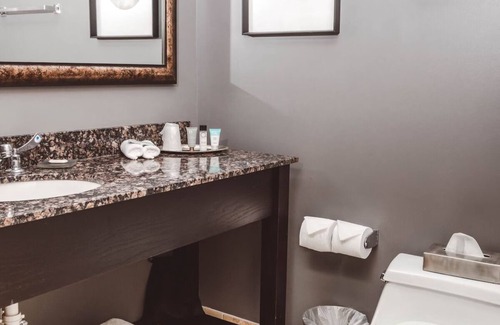 Zion Hotel | Comfortable, Pet-Friendly Stay w/Firepits, Gym & Garden Pergolas l Four Rooms