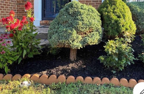 Garfield Heights House | Comfy Blue Studio with Great Amenities