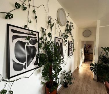 Lipomo Apartment | Como's Hill Apartments Giungla