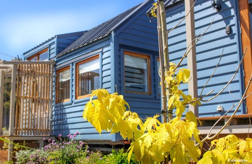 Forthside Cabin | Compass Hut