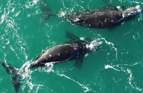 Las Grutas Apartment | Complejo ANITA 05