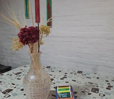 San Clemente House | Complejo Las Palmeras Casa 1