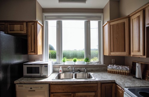 Fostoria Other | Completely renovated early 1900s farmhouse, country setting, and farm animals.