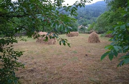Ceahlau House | Complex de pensiuni si casute la munte Bistricioara