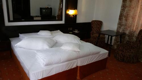 Balta Alba House | Conacul Balta Alba