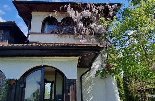 Joita House | Conacul cu Nuci