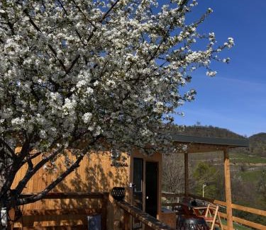 Ilovita Cabin | Conacul Fruntea cu ceru