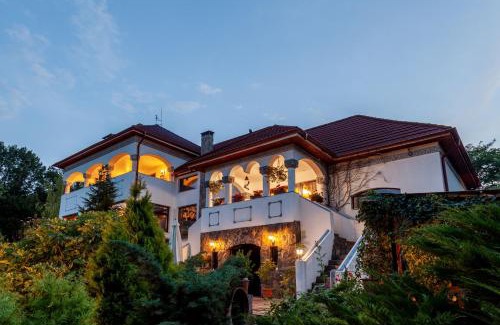 Ramnicu Valcea House | Conacul Malul Alb
