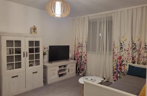Baile Herculane Apartment | Concordia - apartament lângã Cazino