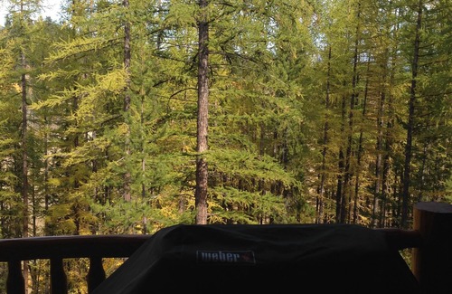 East Kootenay Condo | Condo with a mountain view from private hot tub at the base of the ski hill