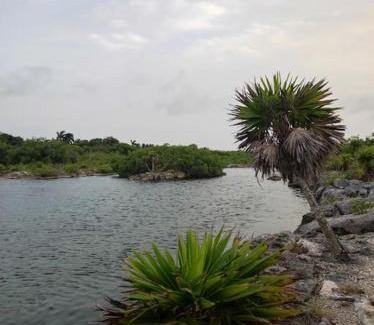 Akumal Apartment | Condo Yalku - Private access to Lagoon