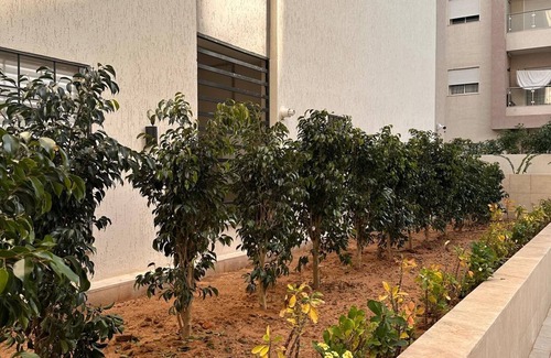Tunis Apartment | Confort et Charme à la Tunisienne au Centre Ville de Tunis