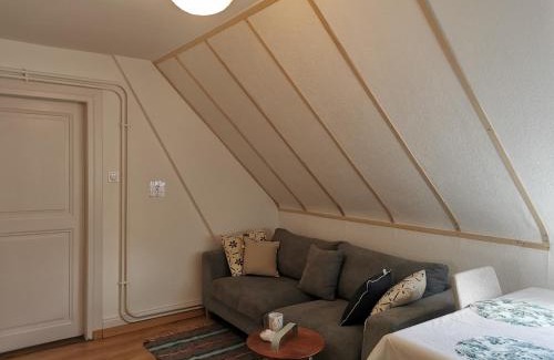 Mulhouse Apartment | Confort, idéalement situé, 2 chambres en enfilade, parking gratuit, tram-train, proche autoroute