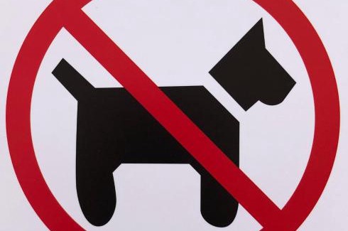 Beiro Apartment | CONSTITUCIÓN SUITE CONFORT D