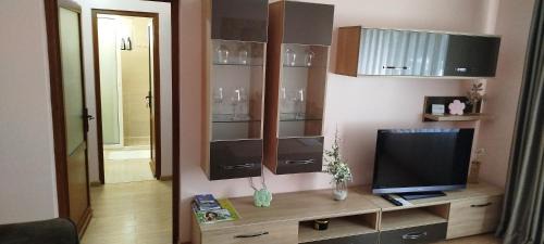 Radauti Apartment | Cool Apartment Radauti
