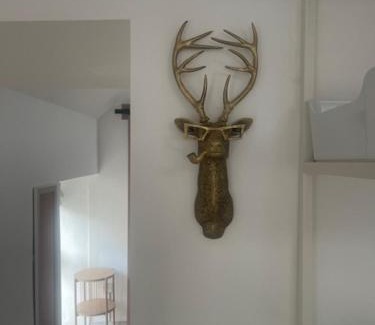 Killotteran Apartment | Cool Barn Conversion