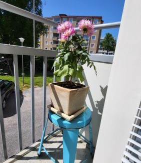 Hameenlinna Apartment | Coolcation in Hämeenlinna - Peaceful and beautiful apartment