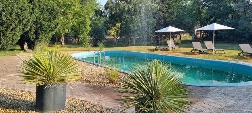 Kiskunmajsa House | Cooles Lofthouse mit Pool