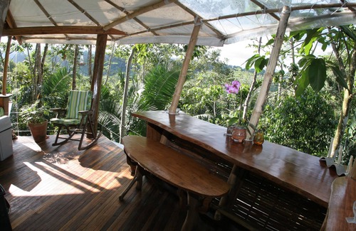 Puerto Jimenez House | COOLEST TreeHouseInCostaRica,Sleeps 8,Corcovado & Ocean Views. Full home in tree
