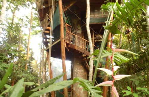 Puerto Jimenez House | COOLEST TreeHouseInCostaRica,Sleeps 8,Corcovado & Ocean Views. Full home in tree