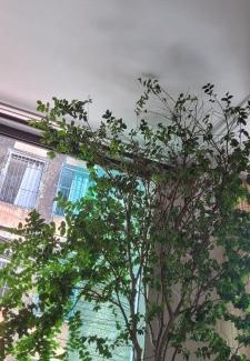 Souza Apartment | COP30 Apart próximo