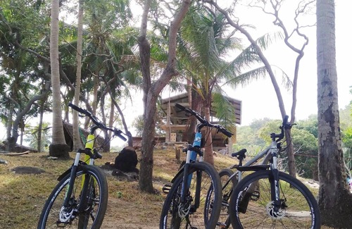 El Nido Bed & Breakfast | Coraline Coast Beach Resort & Resto-Bar