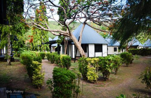 Tavewa Island Hotel | Coralview Island Resort