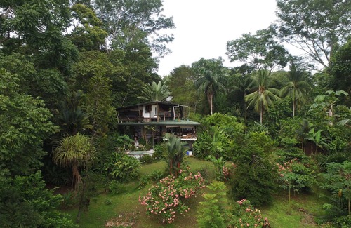 Puerto Jimenez House | CorcovadoSprings. Com see /Rm for 2/VIEWS/PRIVACY/Pool/Priv Wildlife Reserve