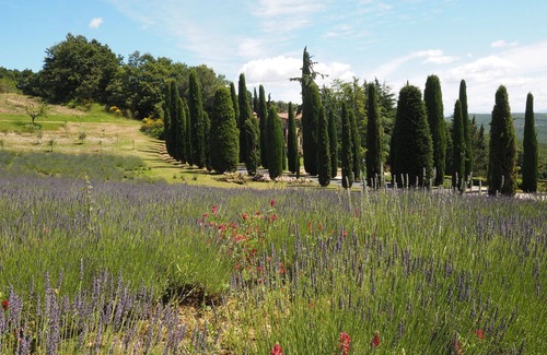 San Gimignano Apartment | Cornocchio 4 - Apartment with swimming pool