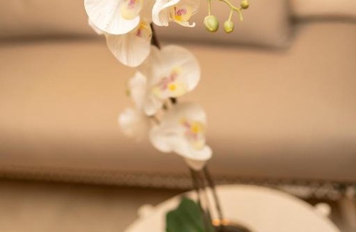 Lichtaart Hotel | Corsendonk Hooge Heyde