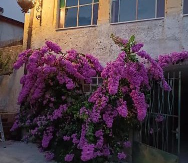 Portese Apartment | Corte Averaldo
